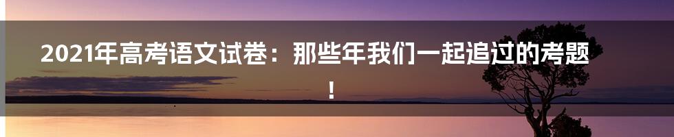 2021年高考语文试卷：那些年我们一起追过的考题！