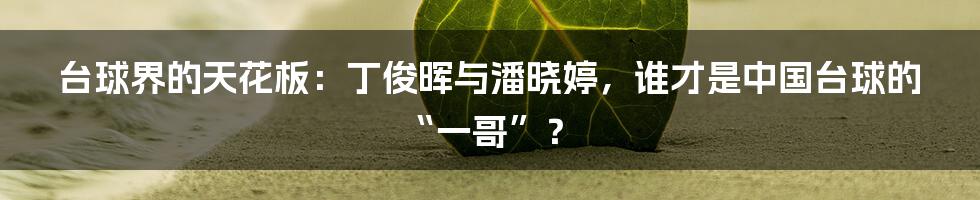 台球界的天花板：丁俊晖与潘晓婷，谁才是中国台球的“一哥”？