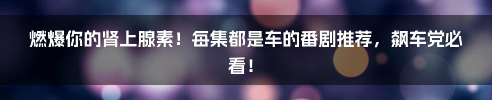 燃爆你的肾上腺素！每集都是车的番剧推荐，飙车党必看！