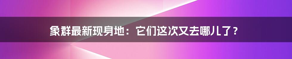 象群最新现身地：它们这次又去哪儿了？