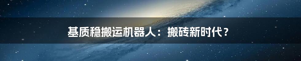 基质稳搬运机器人：搬砖新时代？