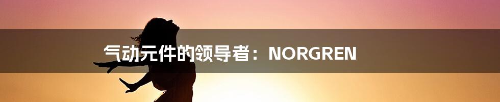 气动元件的领导者：NORGREN