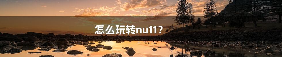 怎么玩转nu11？