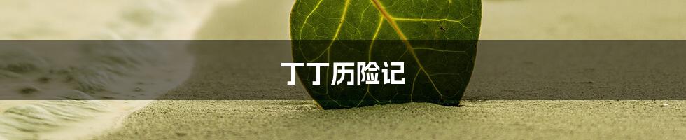 丁丁历险记