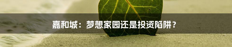 嘉和城：梦想家园还是投资陷阱？