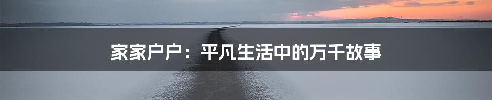 家家户户：平凡生活中的万千故事