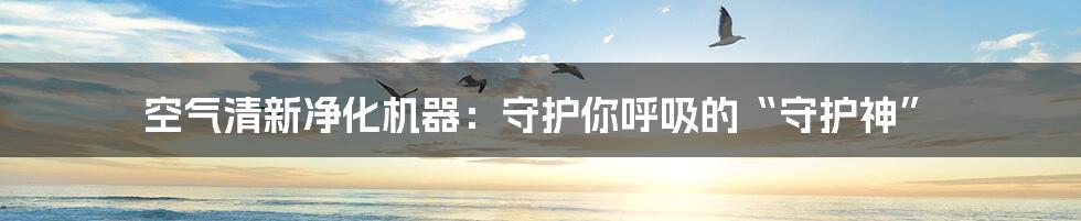 空气清新净化机器：守护你呼吸的“守护神”