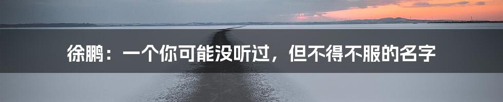 徐鹏：一个你可能没听过，但不得不服的名字