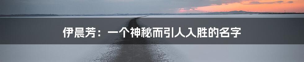 伊晨芳：一个神秘而引人入胜的名字