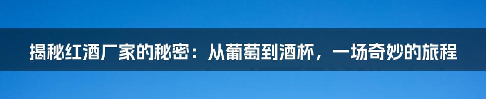 揭秘红酒厂家的秘密：从葡萄到酒杯，一场奇妙的旅程