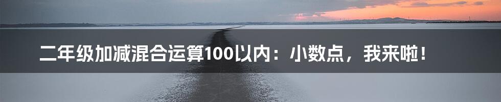 二年级加减混合运算100以内：小数点，我来啦！