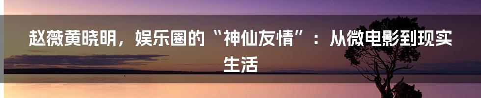 赵薇黄晓明，娱乐圈的“神仙友情”：从微电影到现实生活