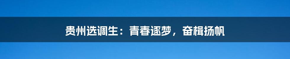 贵州选调生：青春逐梦，奋楫扬帆