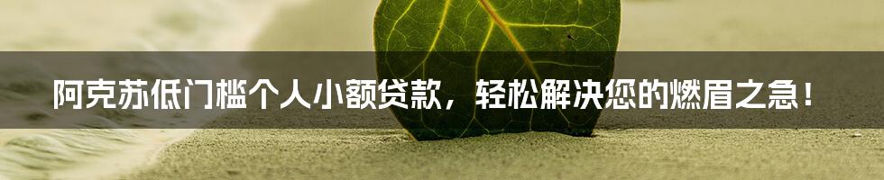 阿克苏低门槛个人小额贷款，轻松解决您的燃眉之急！