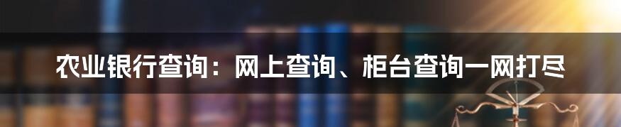 农业银行查询：网上查询、柜台查询一网打尽