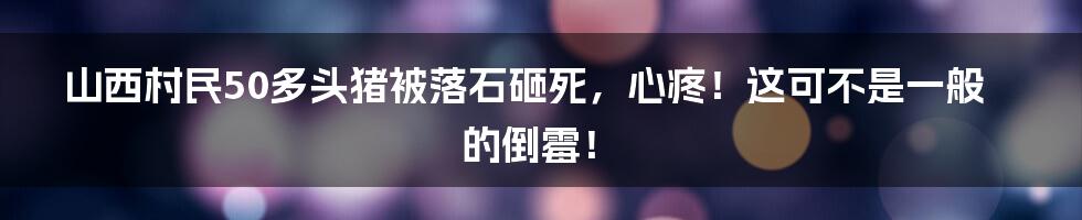 山西村民50多头猪被落石砸死，心疼！这可不是一般的倒霉！