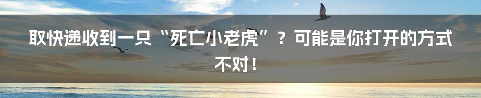 取快递收到一只“死亡小老虎”？可能是你打开的方式不对！