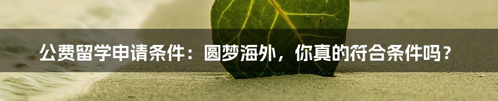 公费留学申请条件：圆梦海外，你真的符合条件吗？