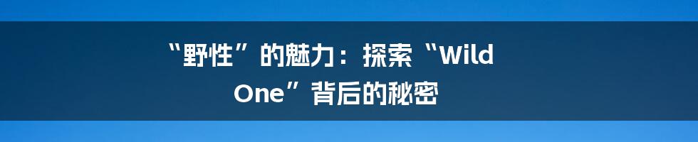 “野性”的魅力：探索“Wild One”背后的秘密