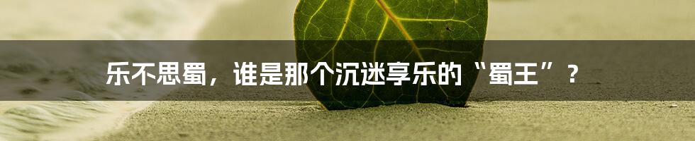 乐不思蜀，谁是那个沉迷享乐的“蜀王”？