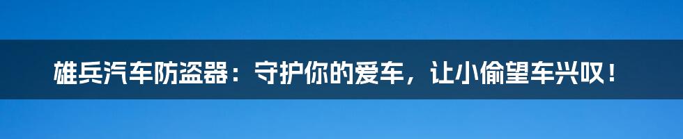 雄兵汽车防盗器：守护你的爱车，让小偷望车兴叹！