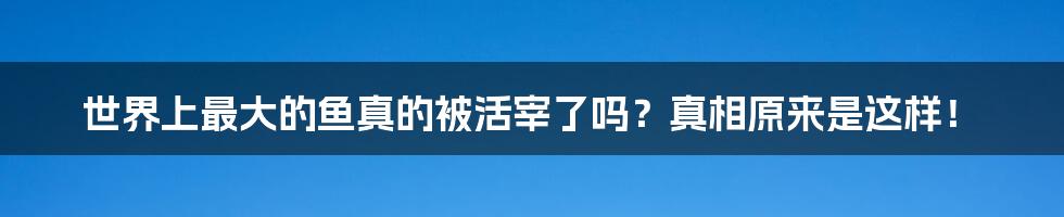 世界上最大的鱼真的被活宰了吗？真相原来是这样！