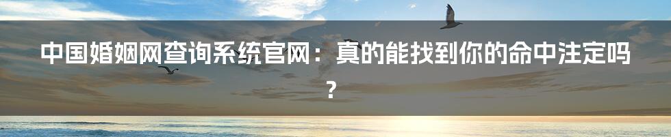 中国婚姻网查询系统官网：真的能找到你的命中注定吗？