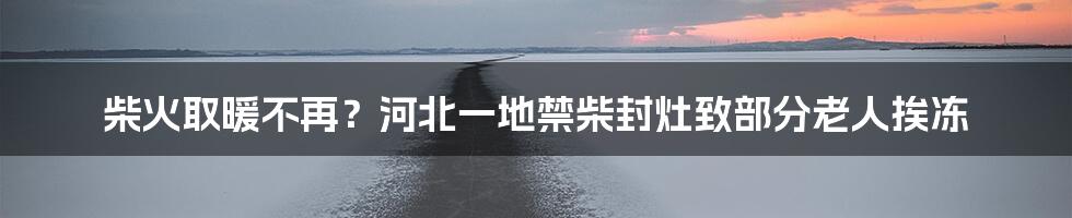 柴火取暖不再？河北一地禁柴封灶致部分老人挨冻