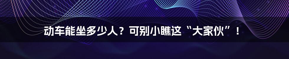 动车能坐多少人？可别小瞧这“大家伙”！