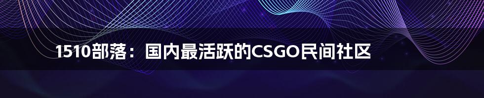 1510部落：国内最活跃的CSGO民间社区