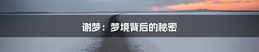 谢梦：梦境背后的秘密