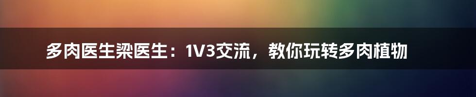 多肉医生梁医生：1V3交流，教你玩转多肉植物