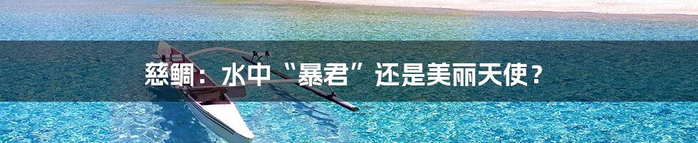 慈鲷：水中“暴君”还是美丽天使？