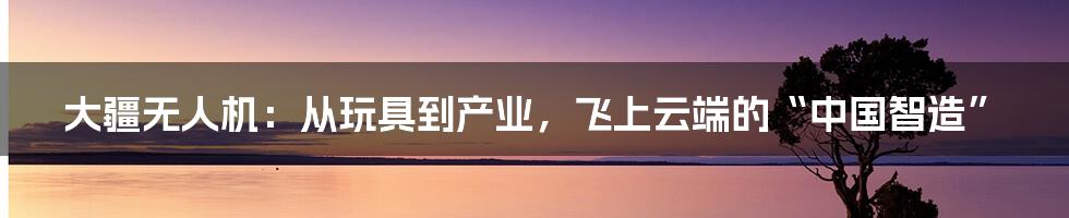 大疆无人机：从玩具到产业，飞上云端的“中国智造”