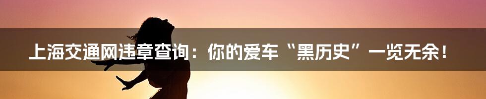 上海交通网违章查询：你的爱车“黑历史”一览无余！