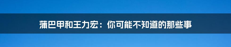 蒲巴甲和王力宏：你可能不知道的那些事