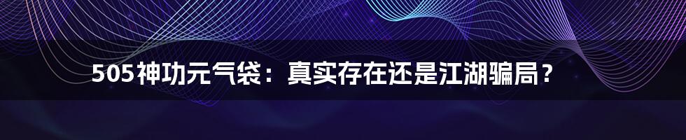 505神功元气袋：真实存在还是江湖骗局？