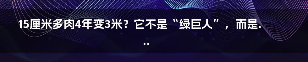 15厘米多肉4年变3米？它不是“绿巨人”，而是...