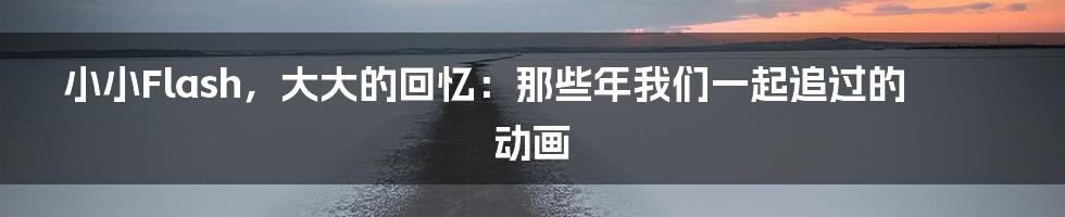 小小Flash，大大的回忆：那些年我们一起追过的动画