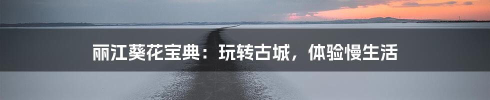 丽江葵花宝典：玩转古城，体验慢生活