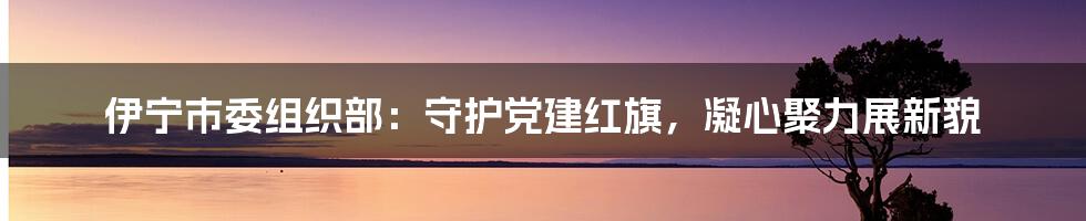 伊宁市委组织部：守护党建红旗，凝心聚力展新貌