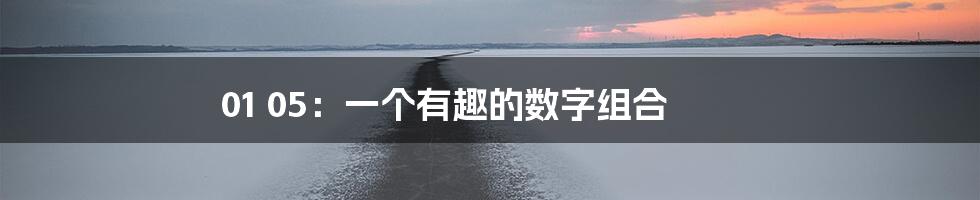 01 05：一个有趣的数字组合