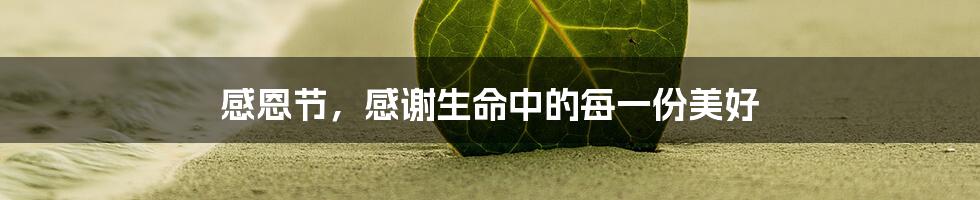 感恩节，感谢生命中的每一份美好