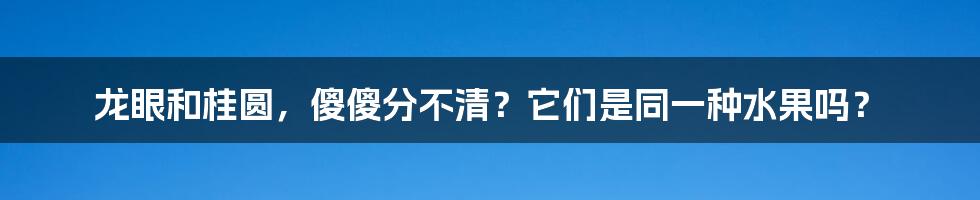 龙眼和桂圆，傻傻分不清？它们是同一种水果吗？