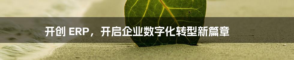 开创 ERP，开启企业数字化转型新篇章