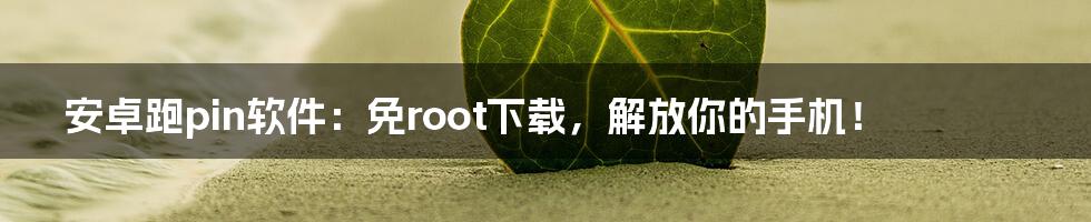 安卓跑pin软件：免root下载，解放你的手机！