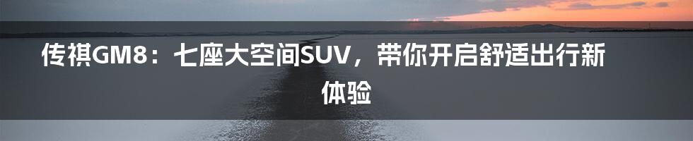 传祺GM8：七座大空间SUV，带你开启舒适出行新体验