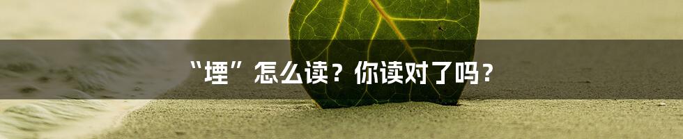 “堙”怎么读？你读对了吗？