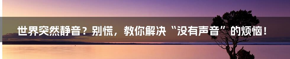 世界突然静音？别慌，教你解决“没有声音”的烦恼！