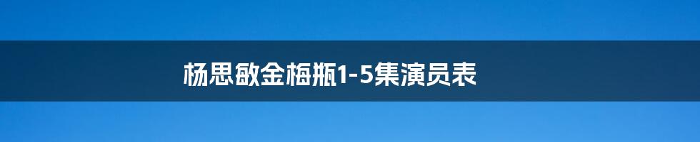 杨思敏金梅瓶1-5集演员表